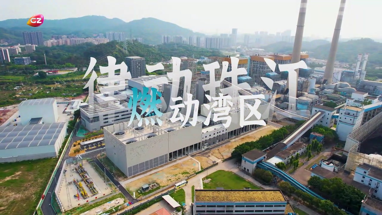 53040大港澳官网