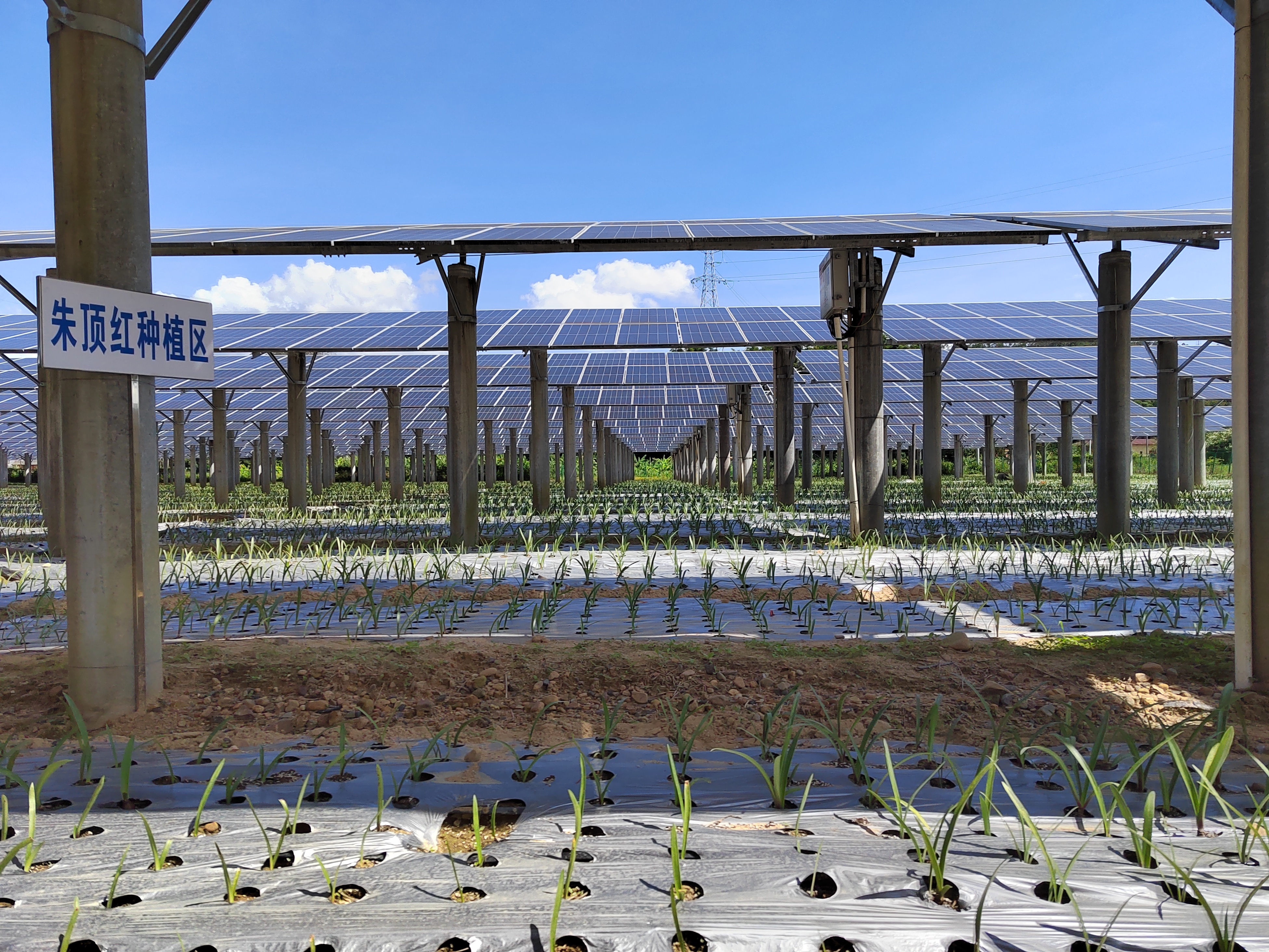 53040大港澳官网