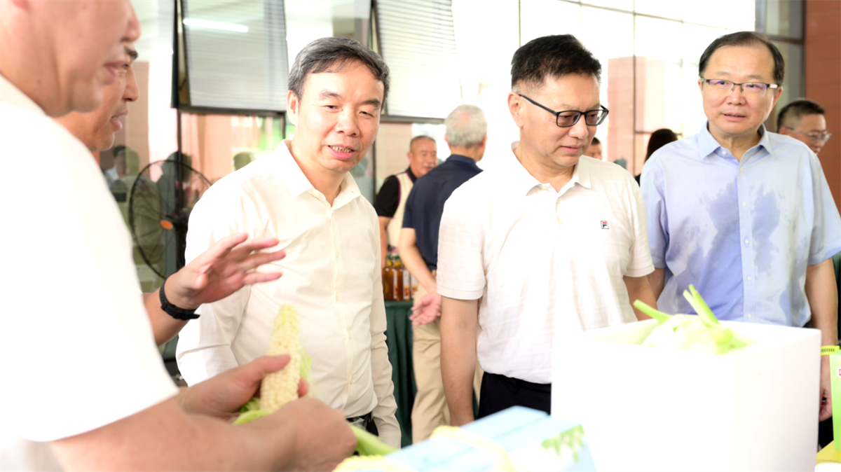 53040大港澳官网