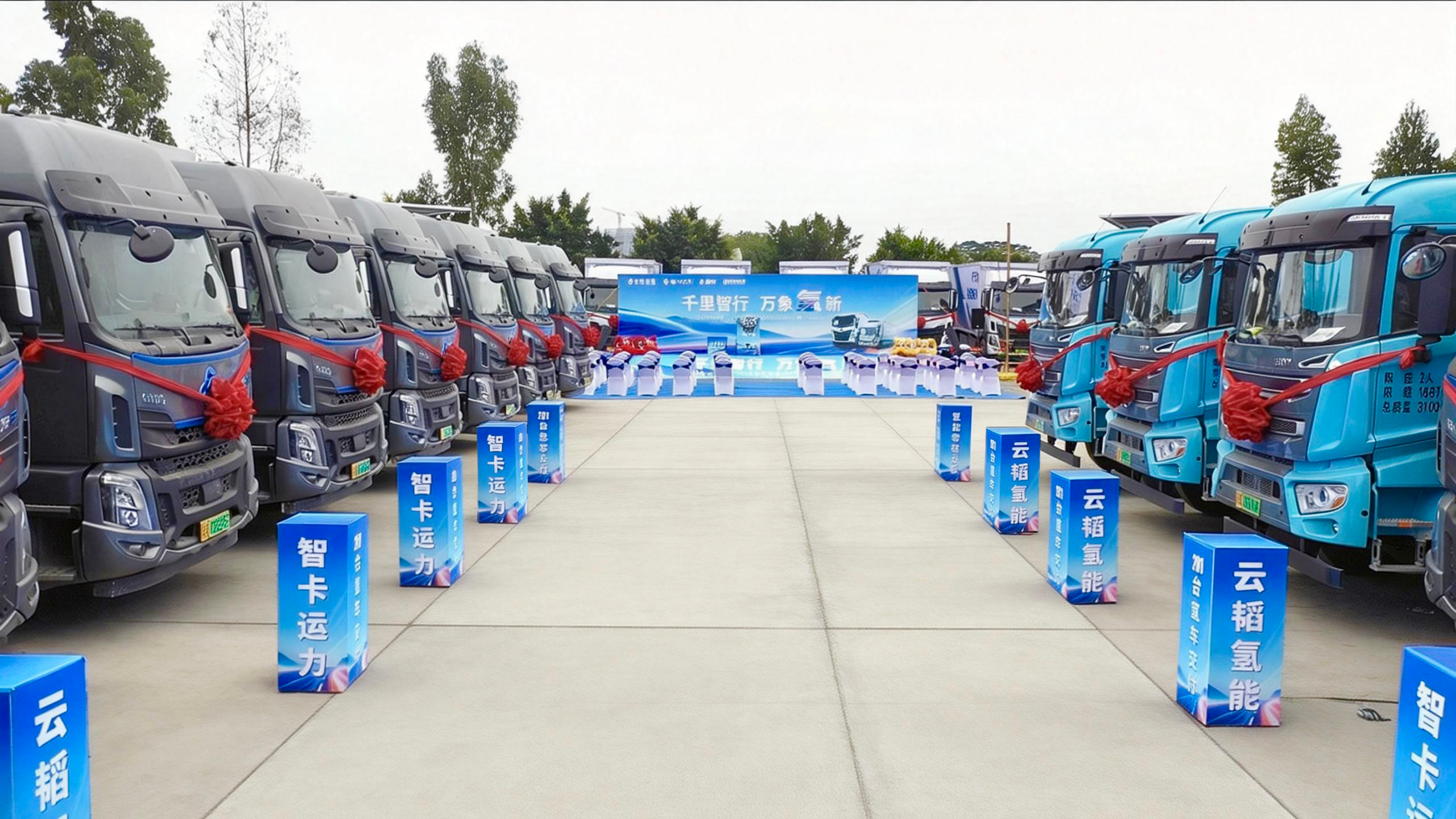 53040大港澳官网